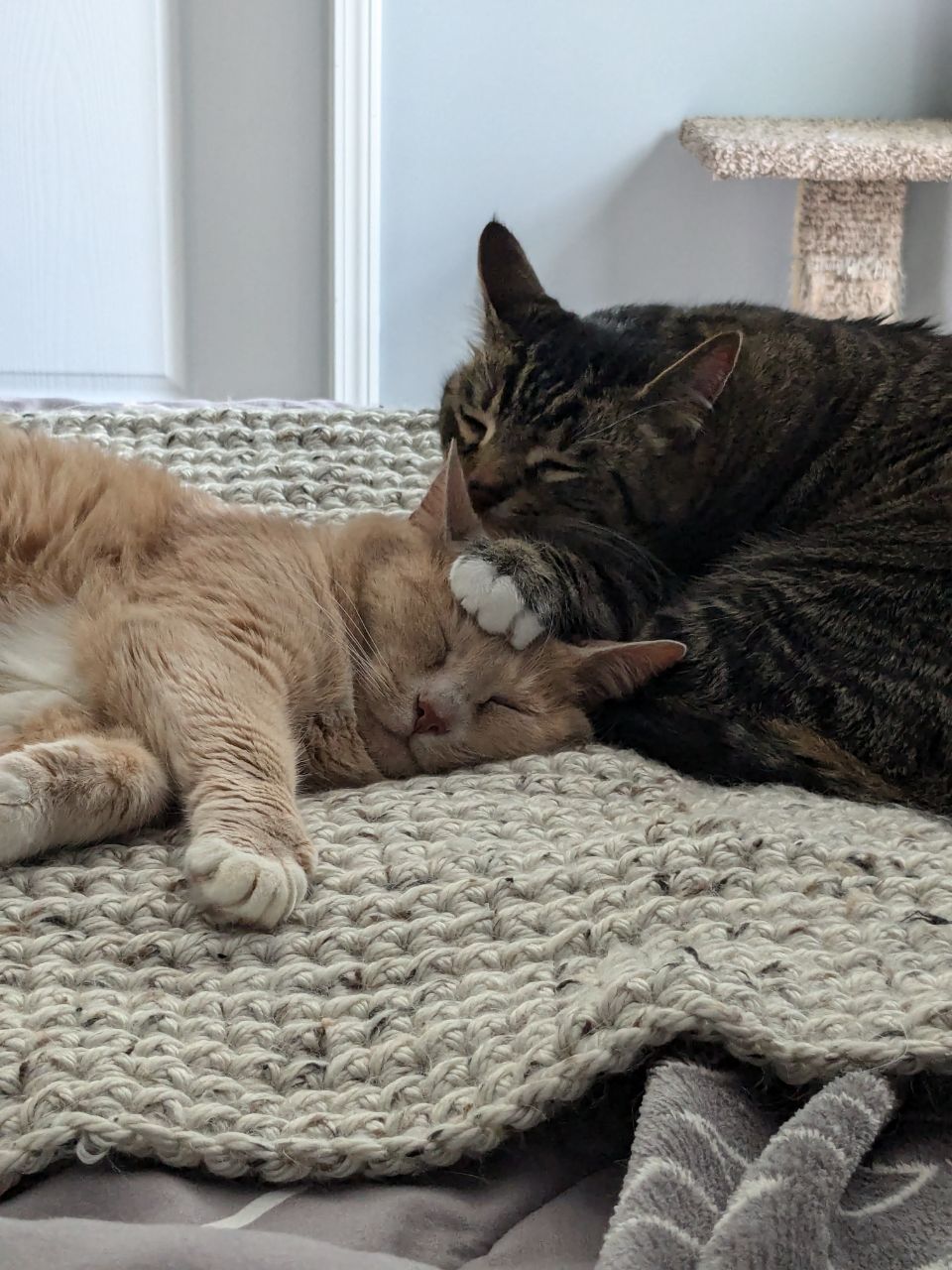Hold still, your head is dirty!