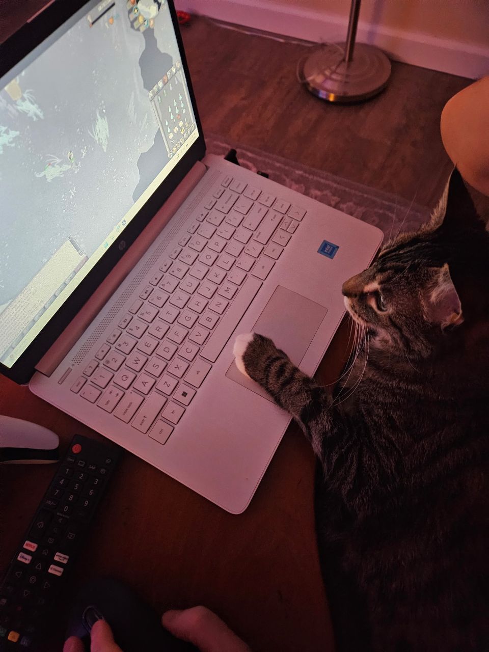 Time to slay some Frost Dragons!
