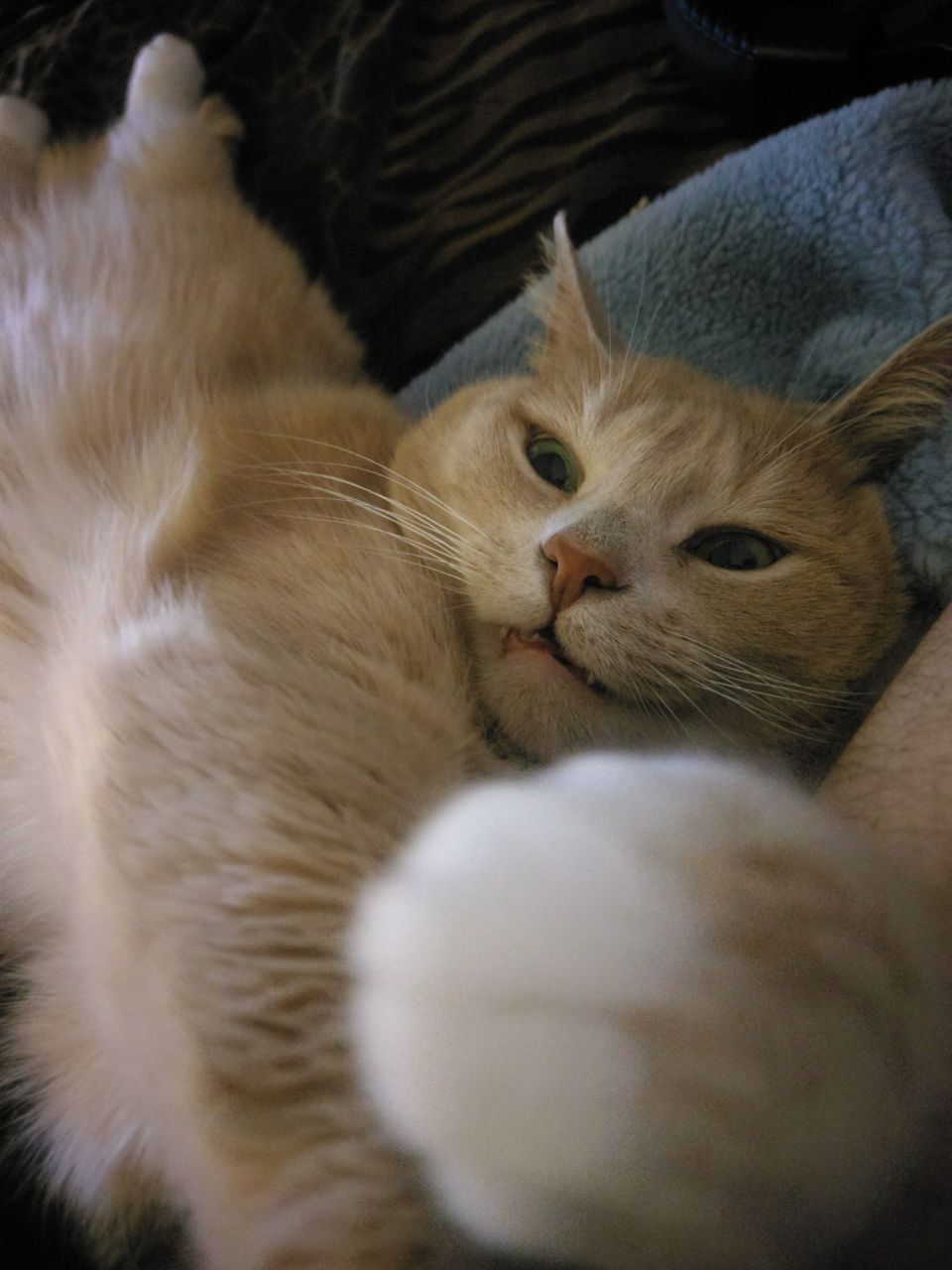 What did you wake me up for?