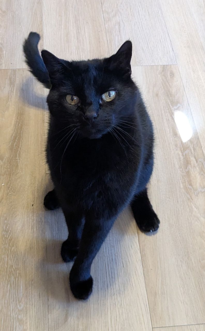 Good morning.. got any food?