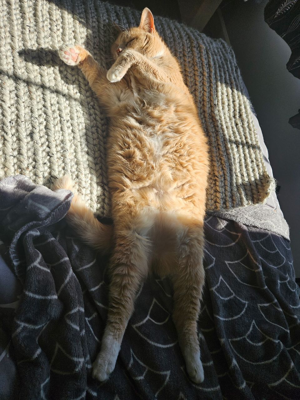 I love sunbeams!