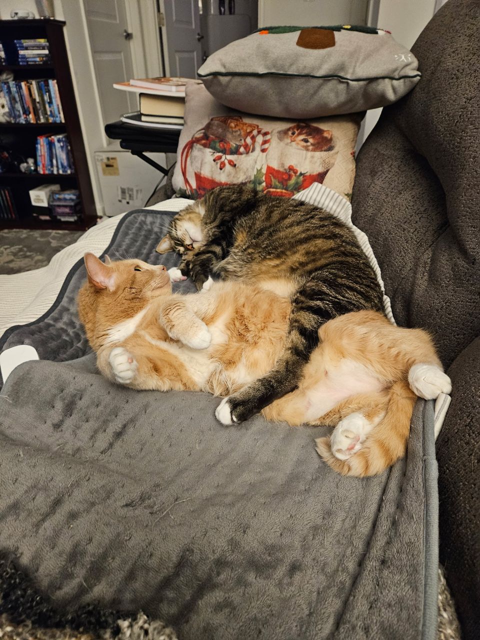 Comfortable, are you?