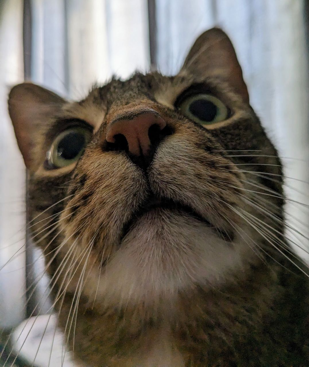Was that a bug??