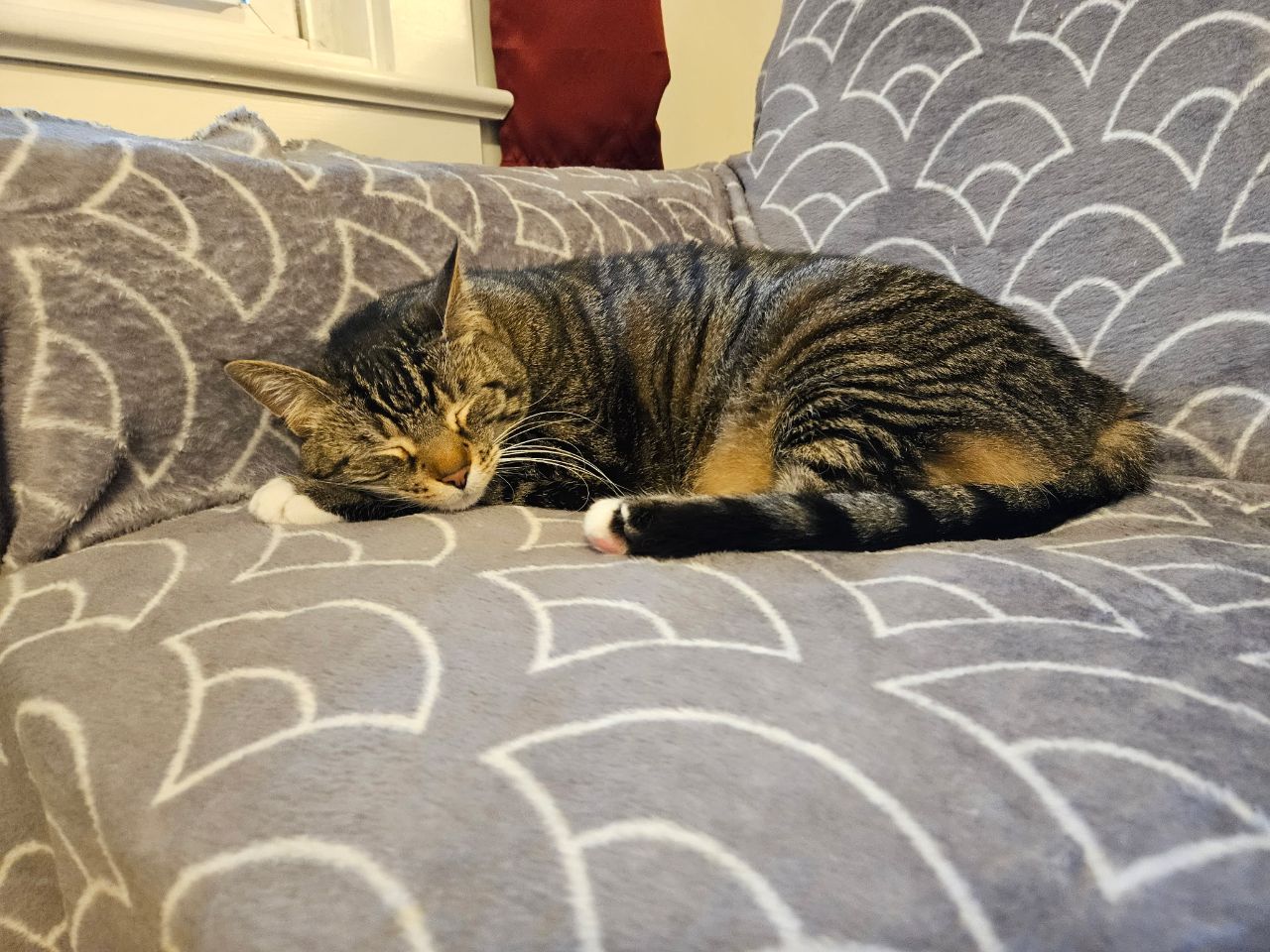 Zzzzzzzzzzzzzz