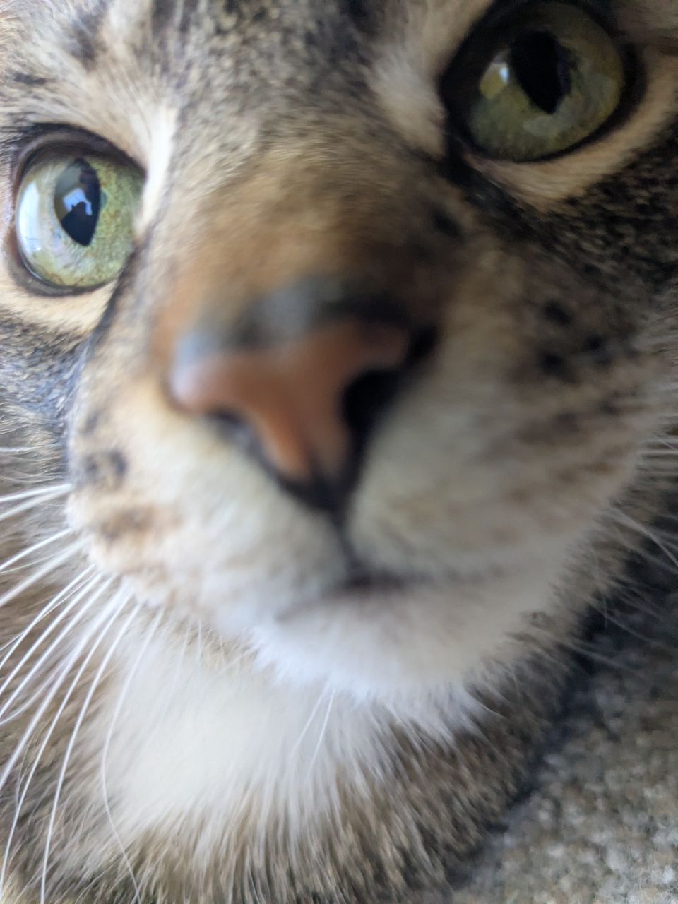 Every side is my good side