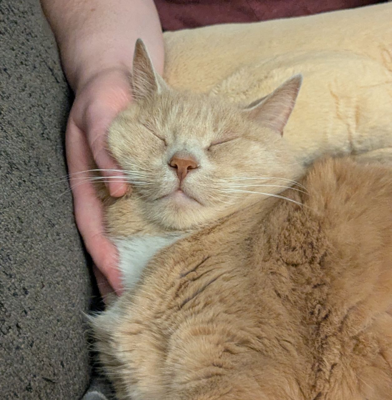 I
