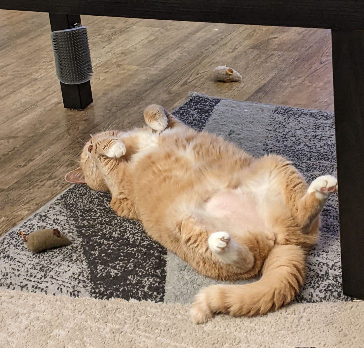 Time to relax