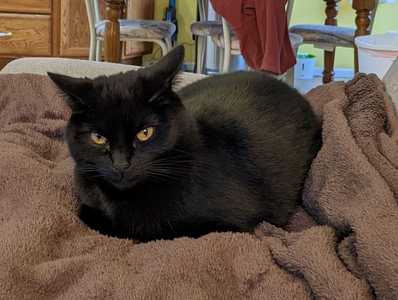 Just loafing around, don