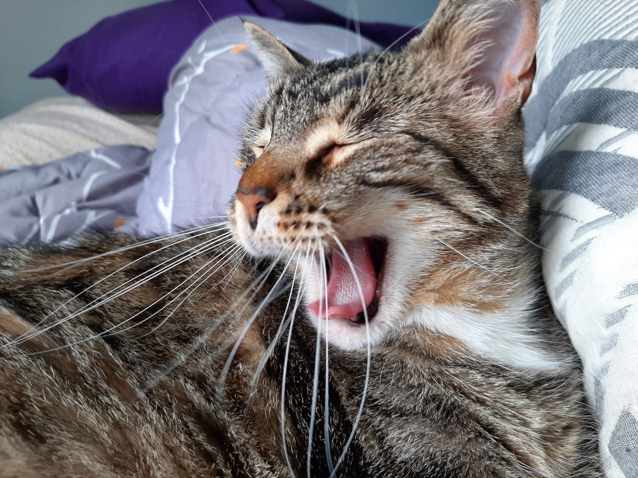 Yawwwwwn