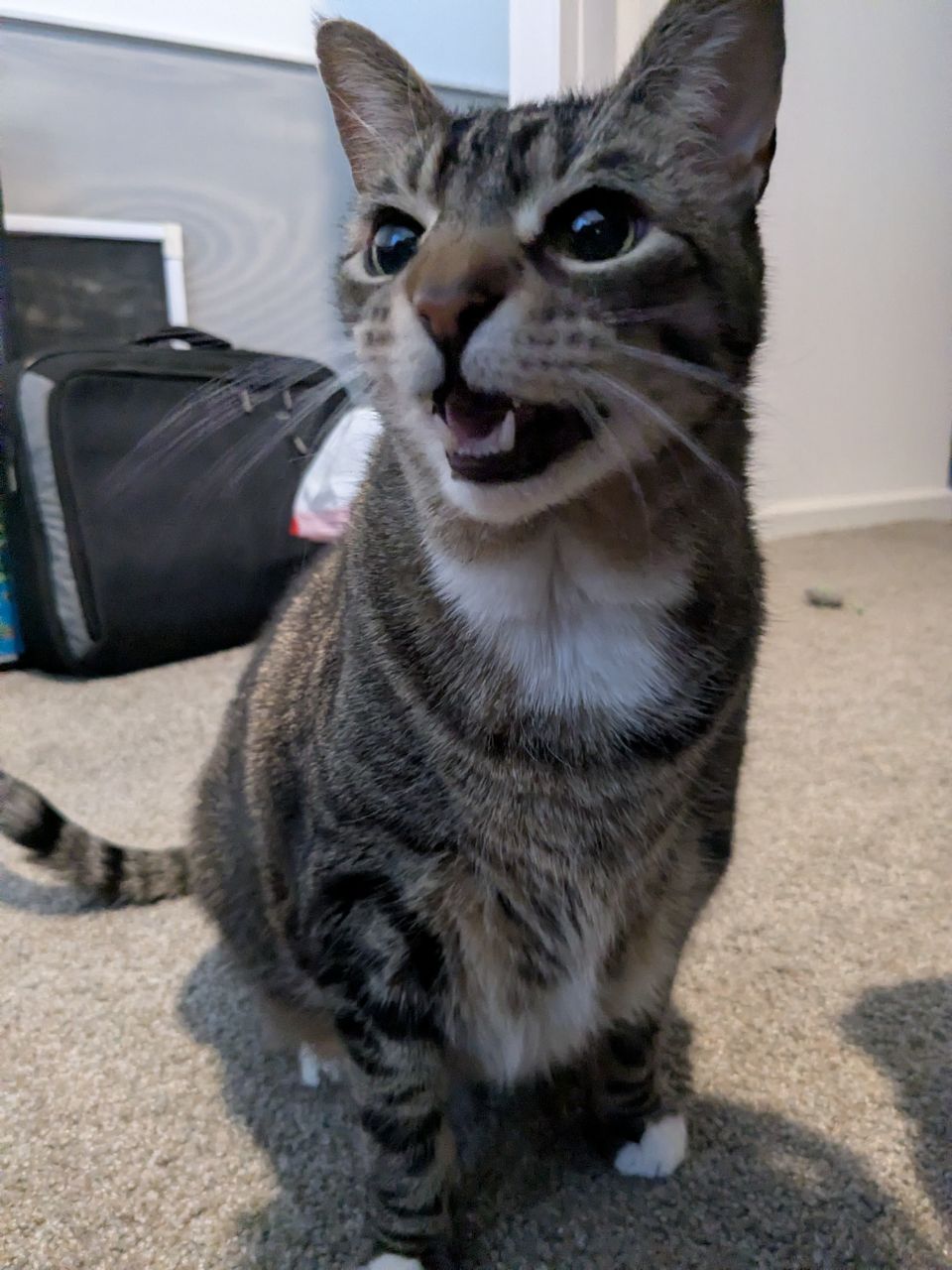 I