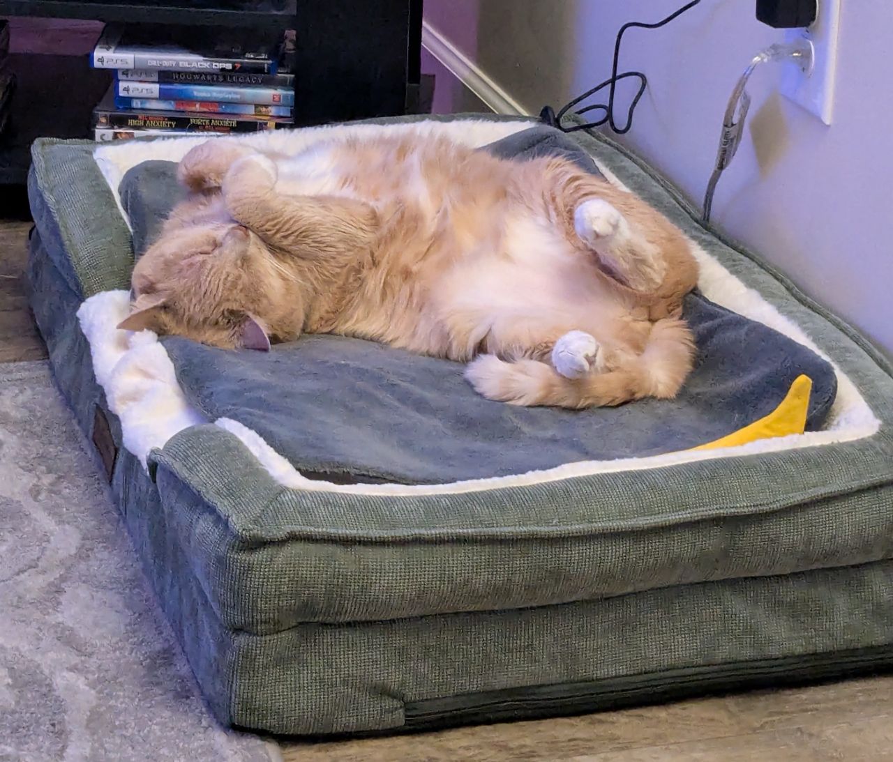 This is a bed for dogs, but it