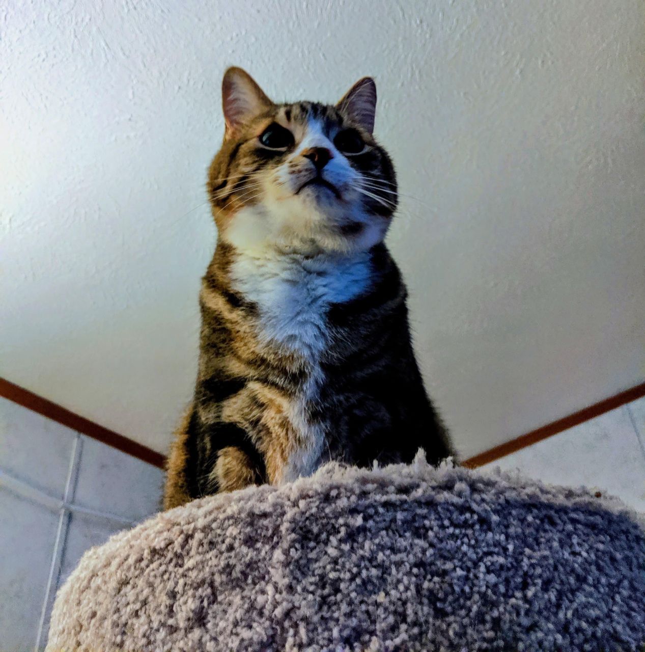 I