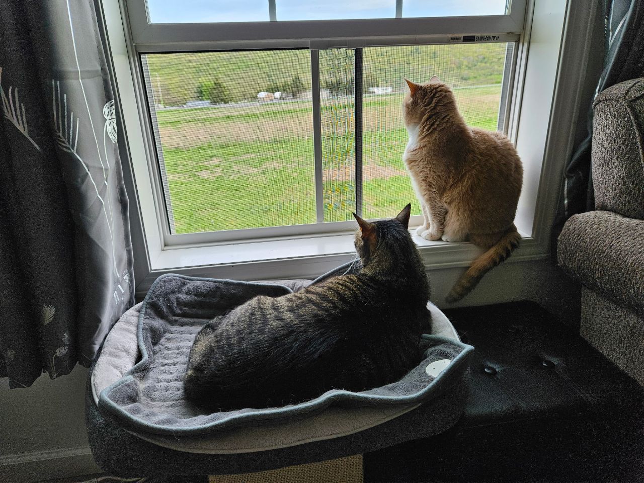 Getting some fresh summer air with my brother, Felix