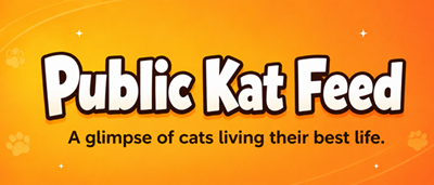 Public Kat Feed